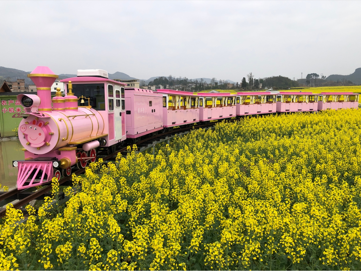 CHC-48人 粉色轨道观光小火车