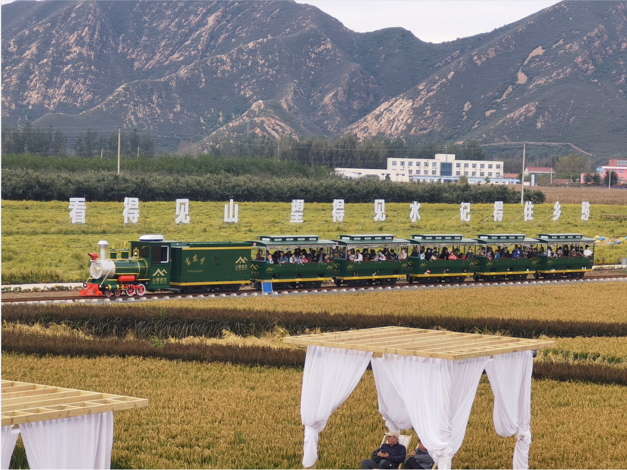 CHC-72人 孔雀绿轨道观光小火车