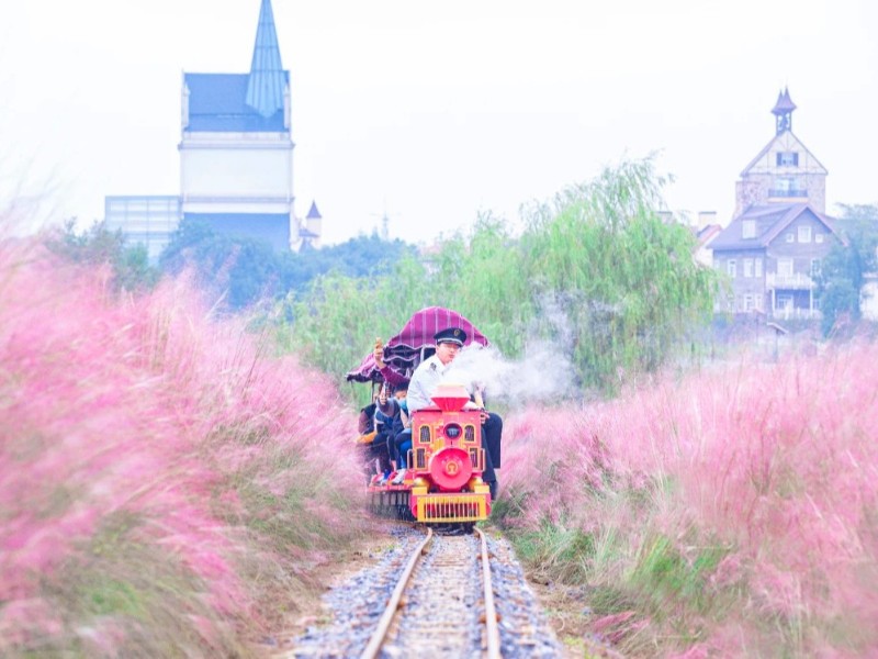 武汉花博汇3款网红观光小火车你中意哪款？