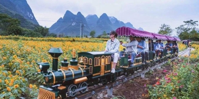 为何迷你蒸汽观光小火车能够成为景区网红项目？
